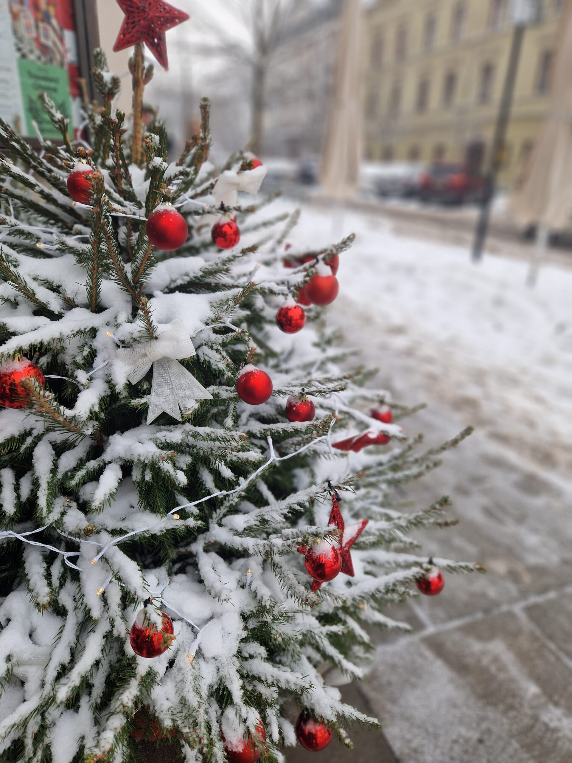 Festive Christmas scene in Kraków with holiday markets, decorated trees, and illuminated streets.